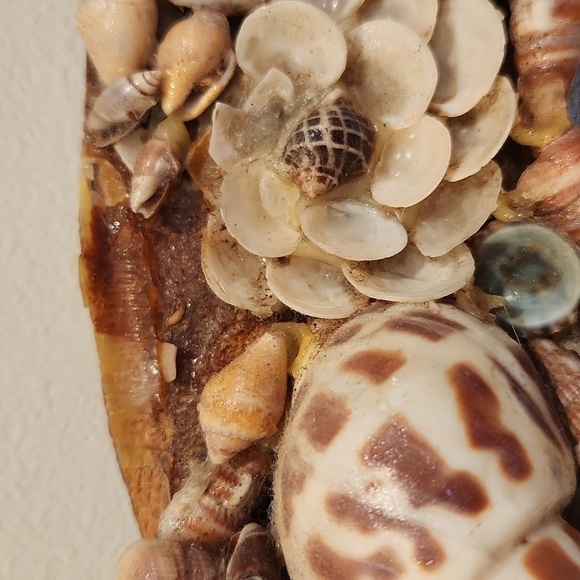 1970s handmade seashell oval mirror coastal beach - Picture 3 of 14